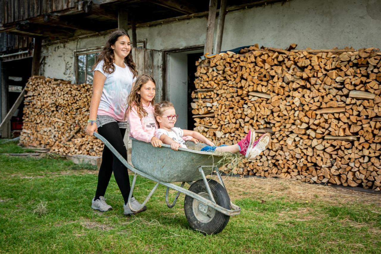 Gasthof Pension Orthofer Санкт-Якоб-им-Вальде Экстерьер фото